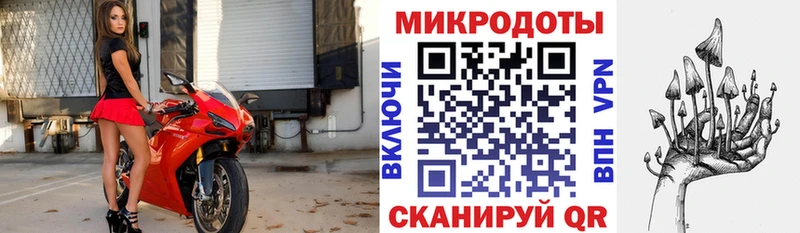 Псилоцибиновые грибы прущие грибы Краснознаменск